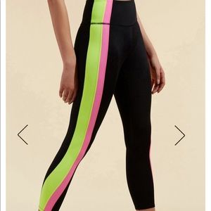 Veronica Beard x Bandier tights